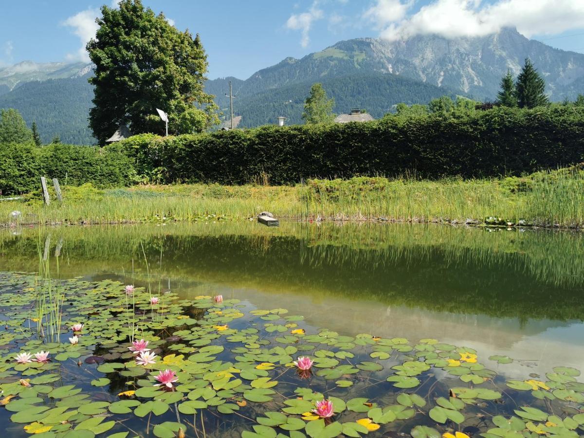 Landhotel Kastanienhof Gundersheim Luaran gambar